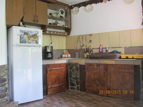Casa de vacanta Vidrighin - 931