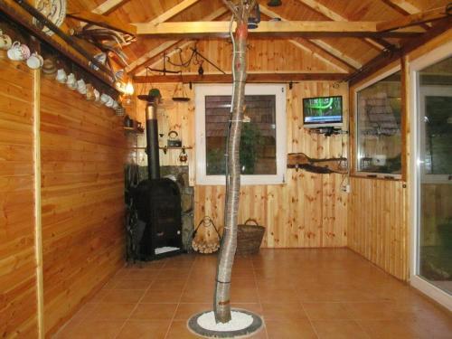 Casa de vacanta Vidrighin - 351