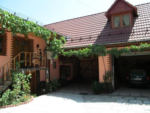 Casa de vacanta Vidrighin - 913