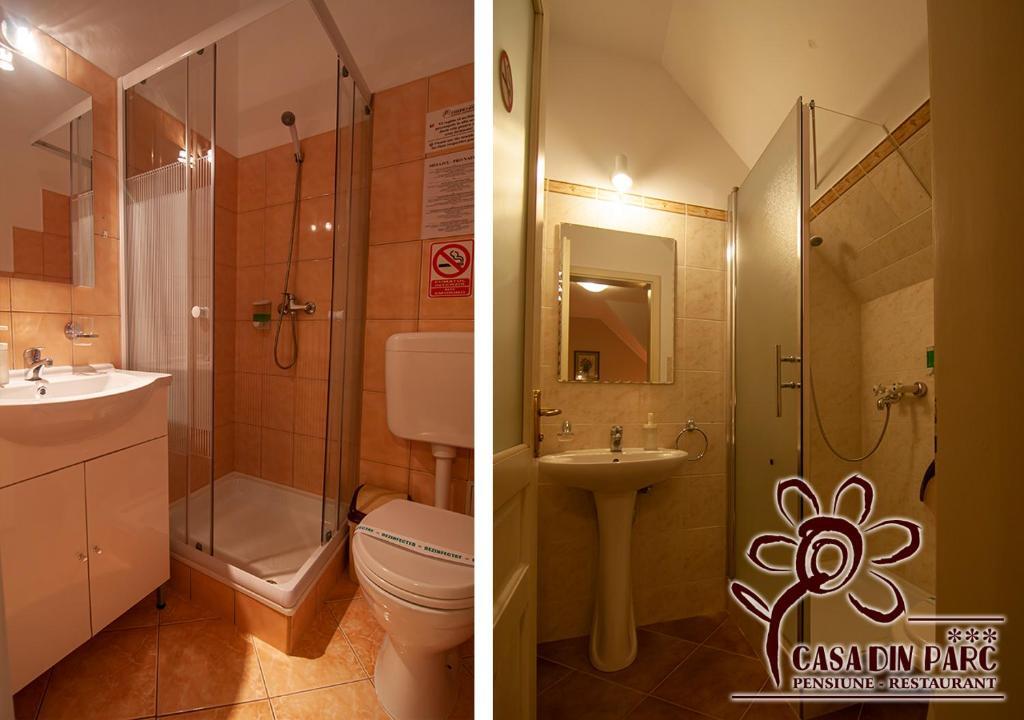 Casa din Parc - 608