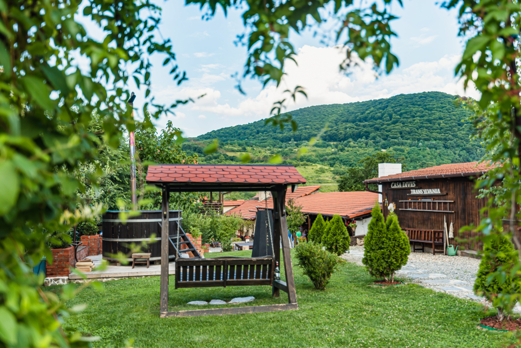 Casa Dives, Transylvania - 588
