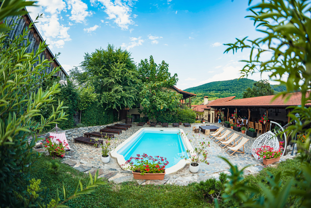 Casa Dives, Transylvania - 485