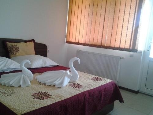 Casa Eriana - 865