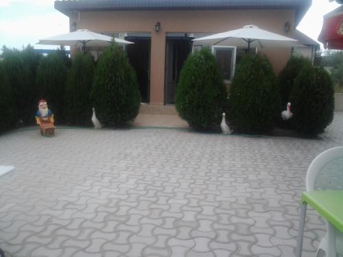 Casa Eriana - 612