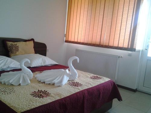Casa Eriana - 340
