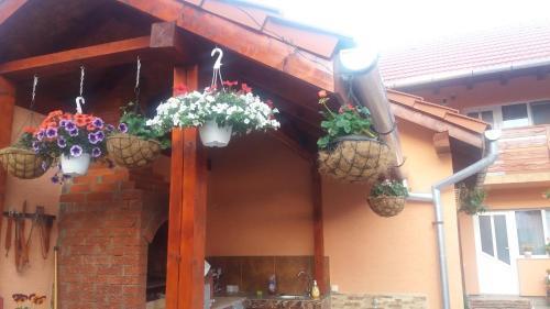 Casa Gianina - 826