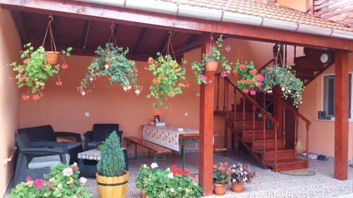 Casa Gianina - 526