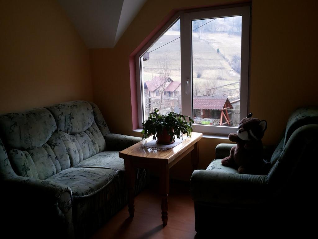 Casa Ioana - 880