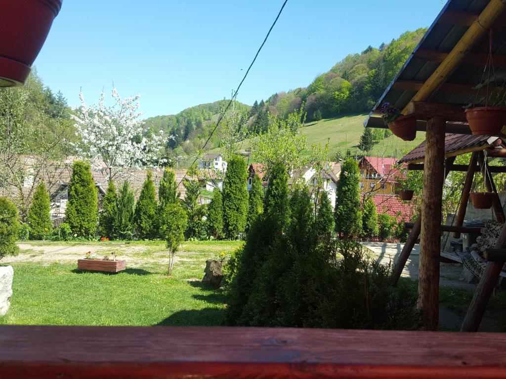 Casa Ioana - 344