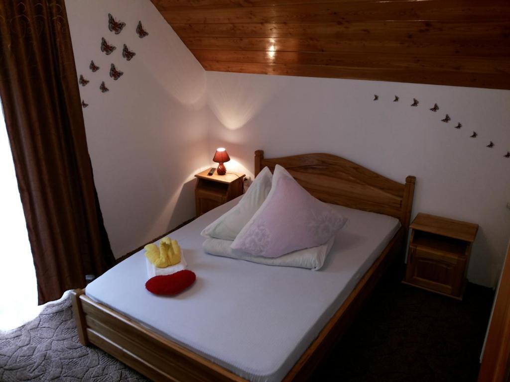 Casa Ioana - 783