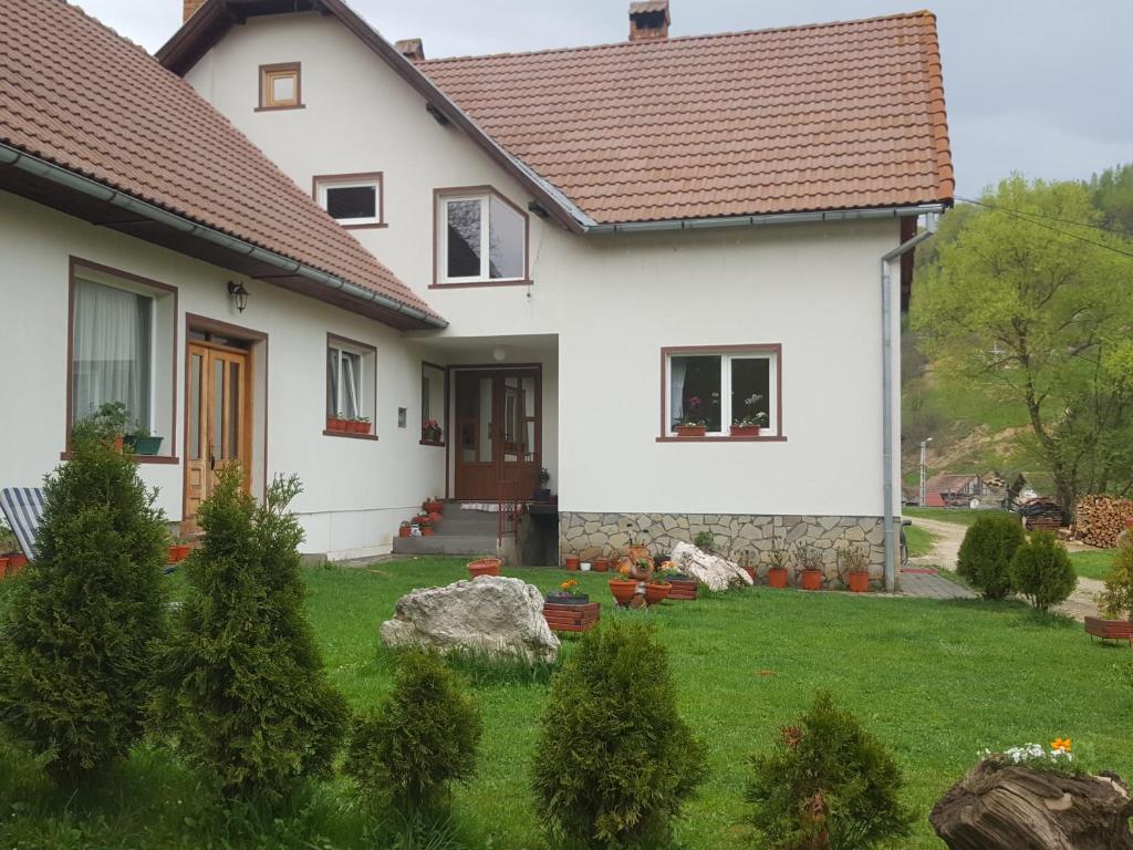 Casa Ioana - 668