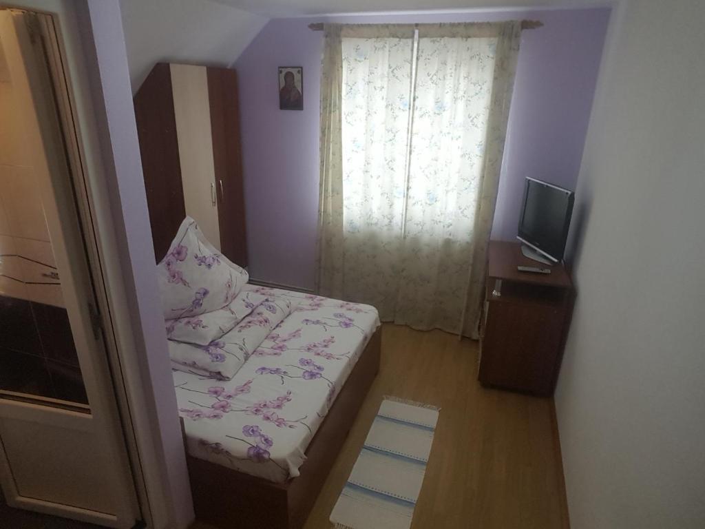 Casa Ioana - 216