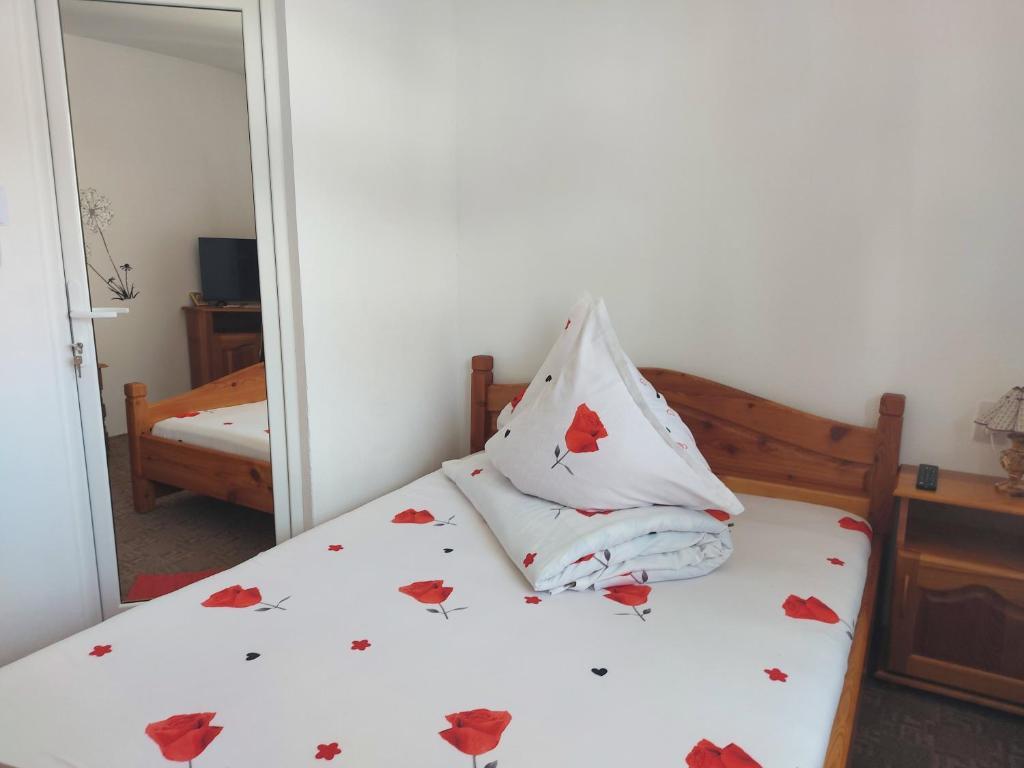 Casa Ioana - 28