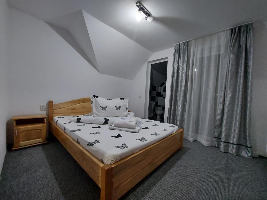 Casa Ioana - 675