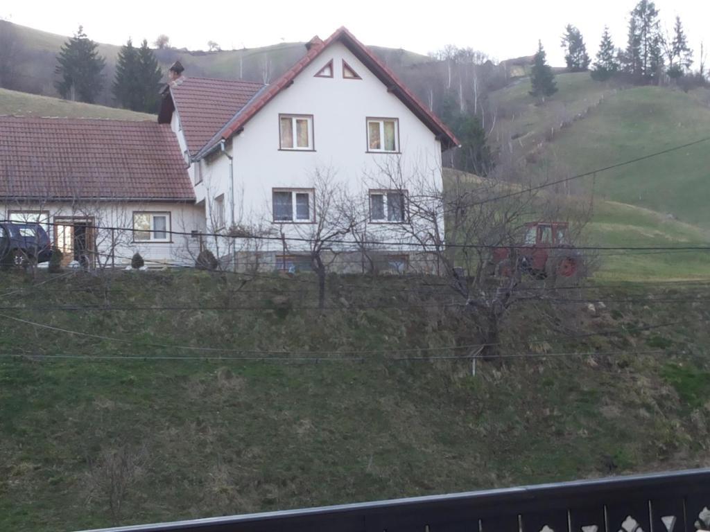 Casa Ioana - 731