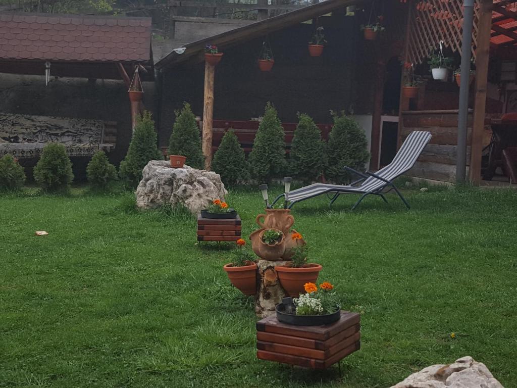 Casa Ioana - 946
