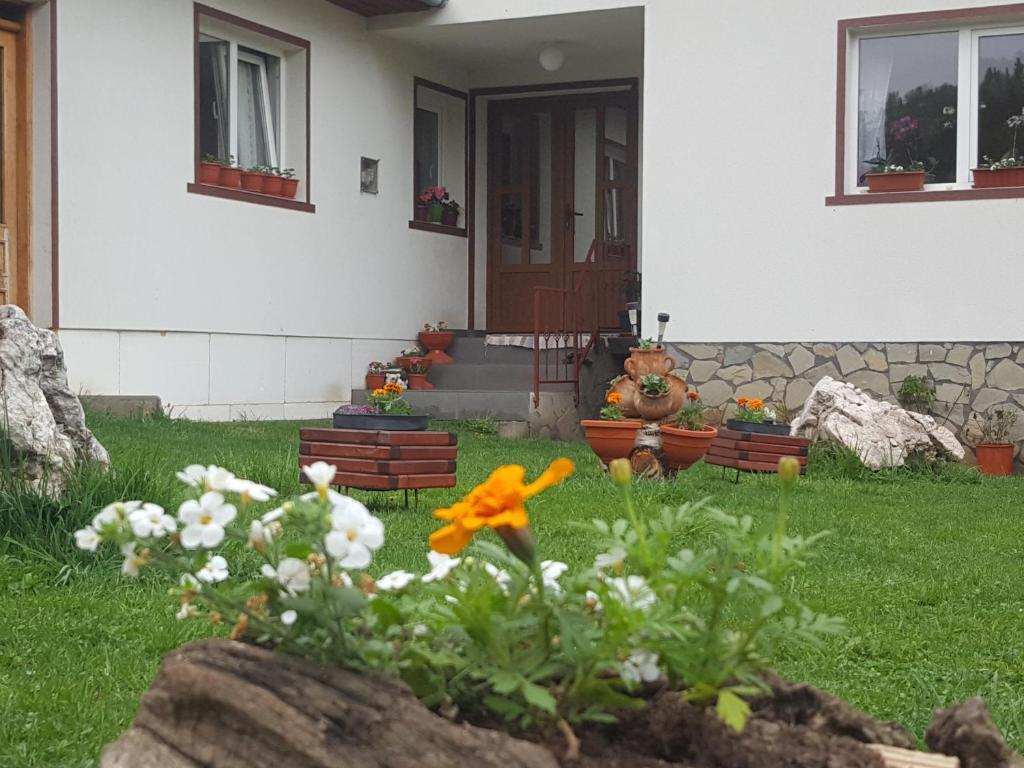 Casa Ioana - 280