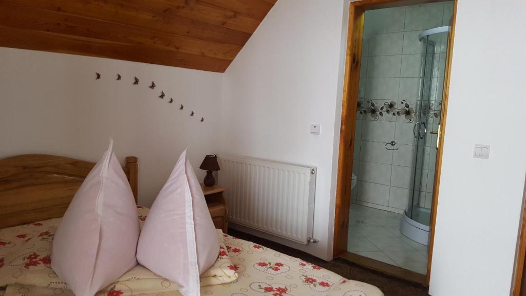 Casa Ioana - 701