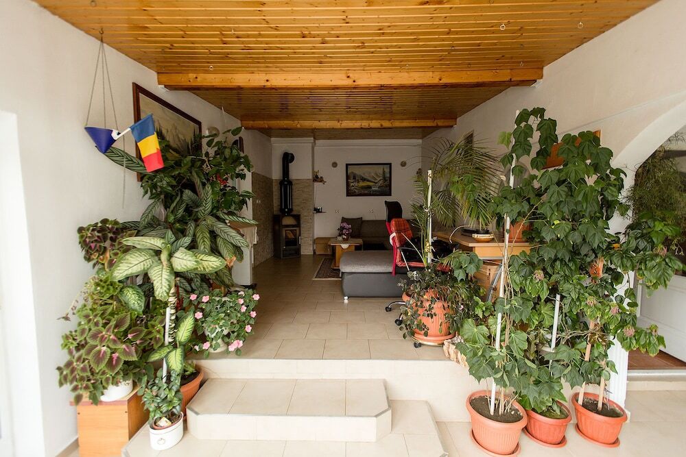 Casa IRIS Petresti - 553