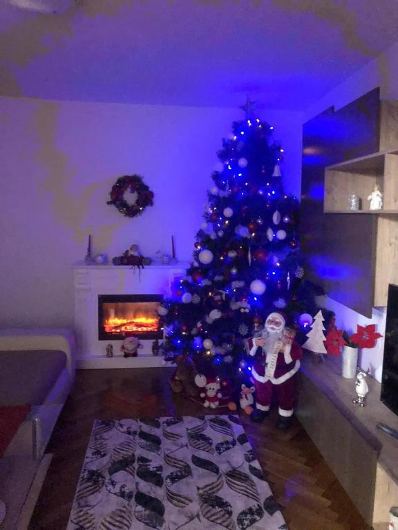 Casa la Raisa - 479