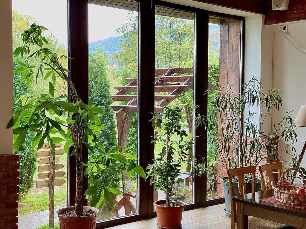 Casa Lazaroiu - 595