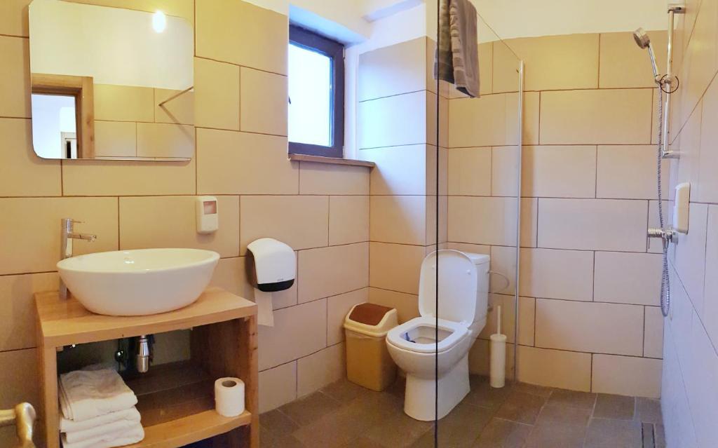 Casa Lazaroiu - 314