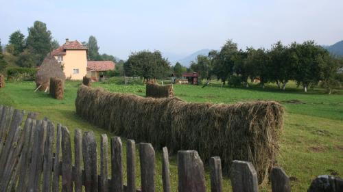 Casa Lucretia - 622