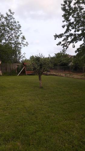 Casa Marandy - 702