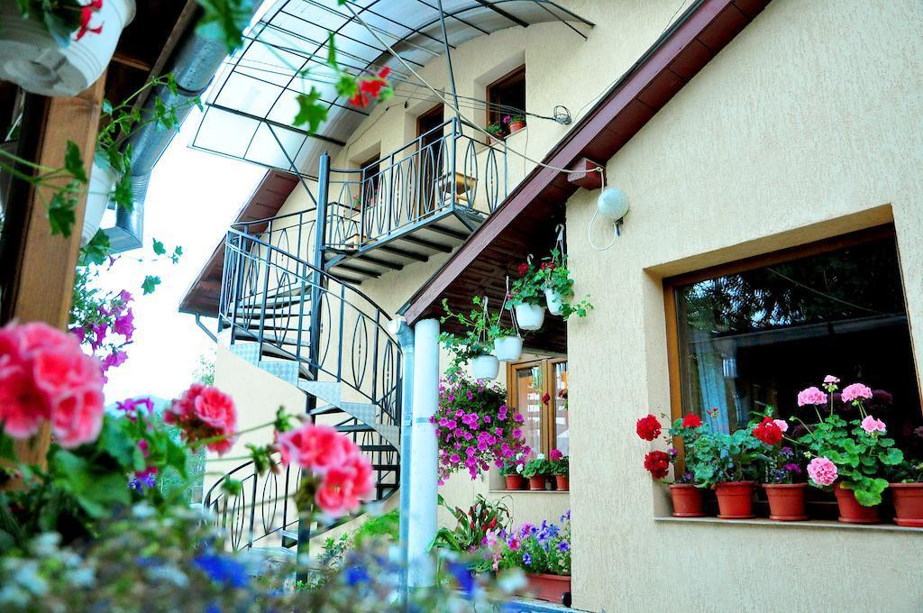 Casa Maria - 647