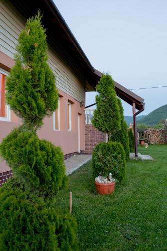 Casa Neagu - 352