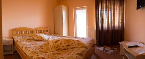 Casa Neagu - 287