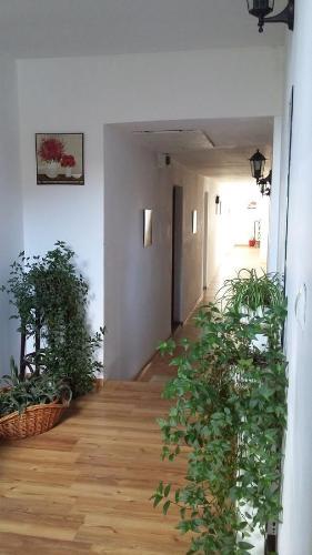Casa Nobilis - 334