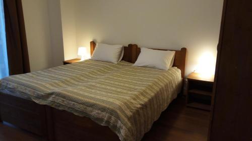 Casa Paduricea - 509