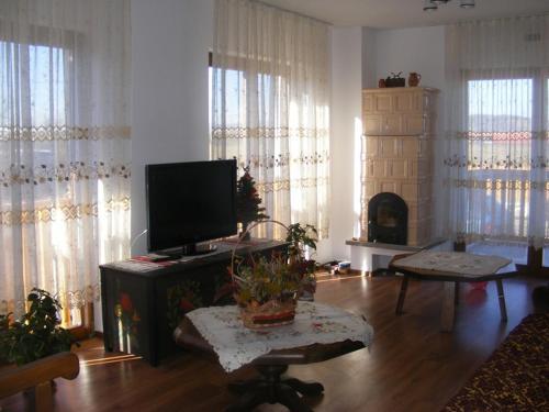 Casa Paduricea - 66