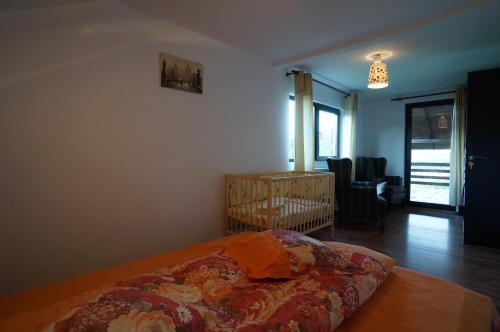 Casa Paltinu - 878