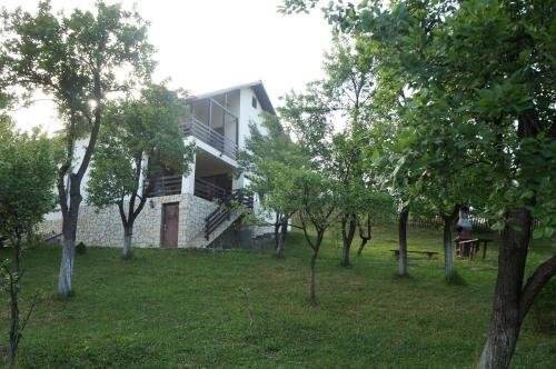 Casa Paltinu - 372