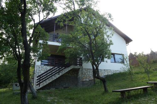 Casa Paltinu - 404