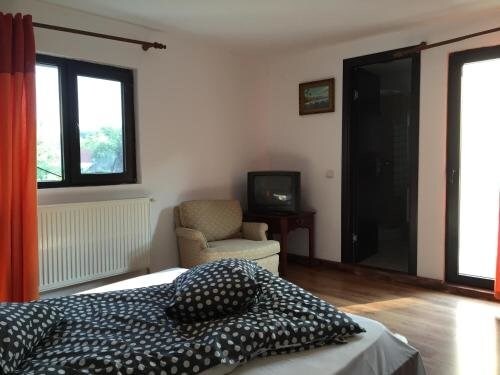 Casa Paltinu - 573