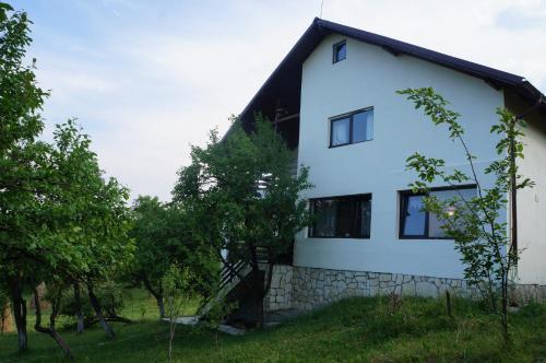 Casa Paltinu - 756