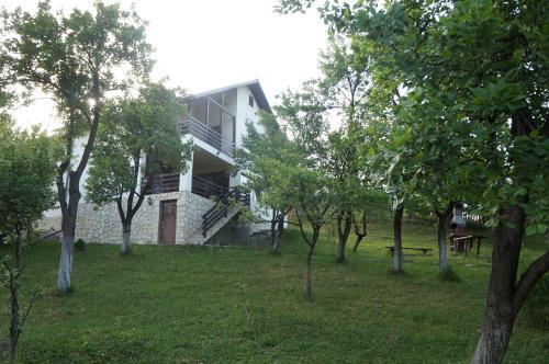 Casa Paltinu - 381