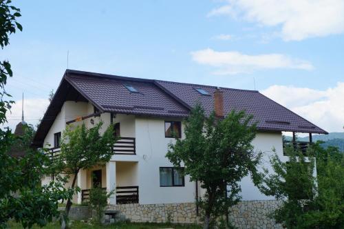 Casa Paltinu - 21
