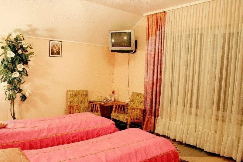 Pensiunea Alex - 481