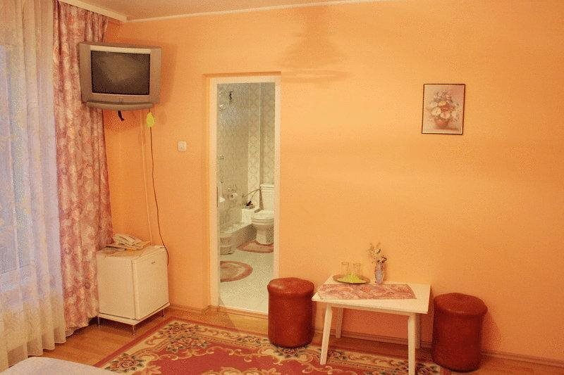Pensiunea Alex - 232