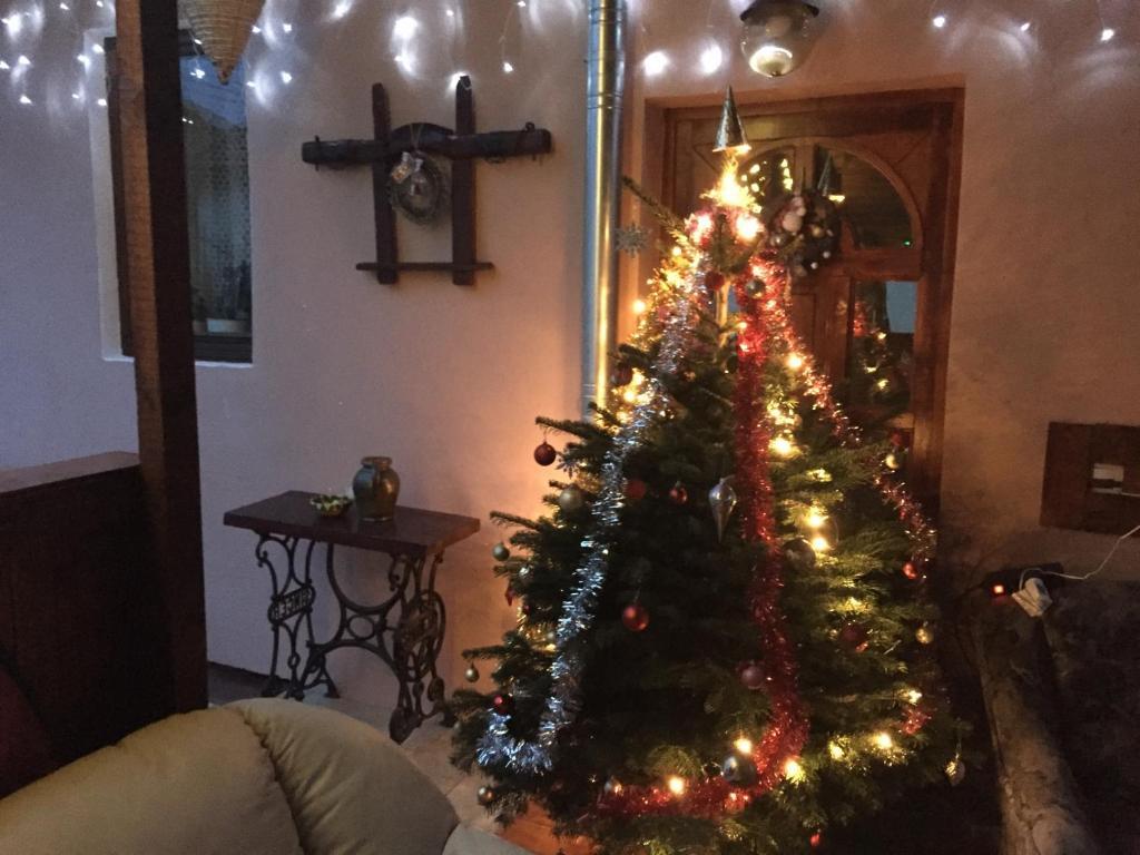 Casa rustica cu terasa - 202