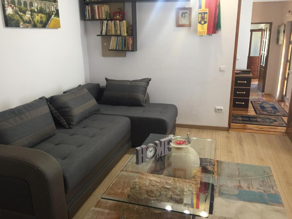 Casa rustica cu terasa - 749