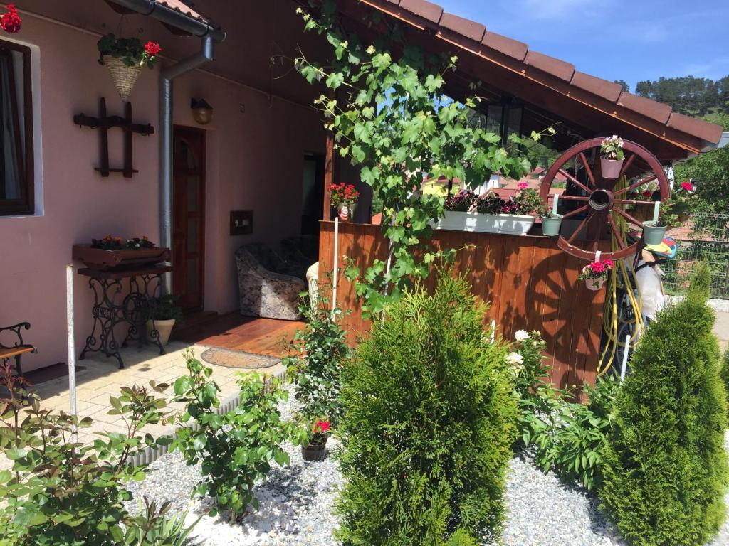Casa rustica cu terasa - 351