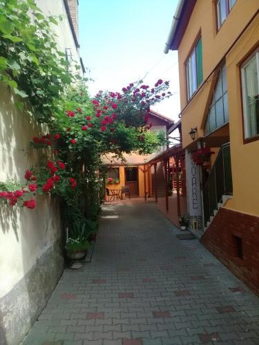 Casa Soare - 591
