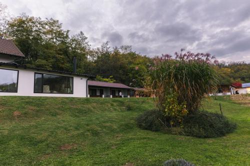 Casa Tirol Blaj - 376