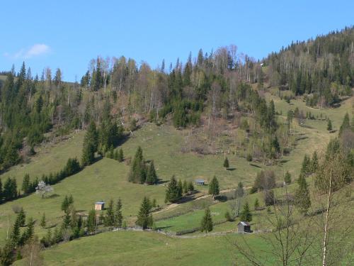 Casa Vlahopol - 716