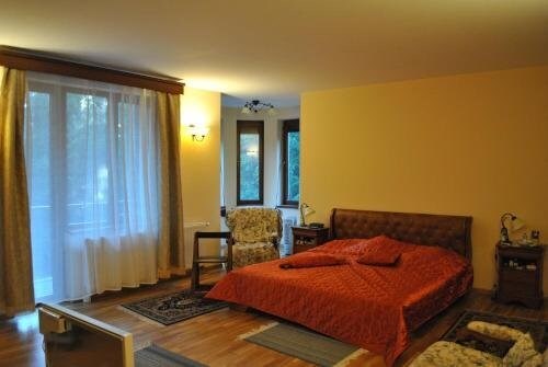 Castelul de Piatra - 571